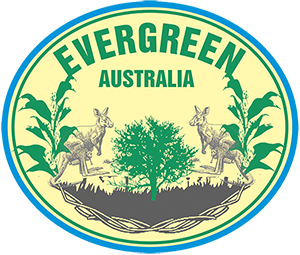 Ever Green